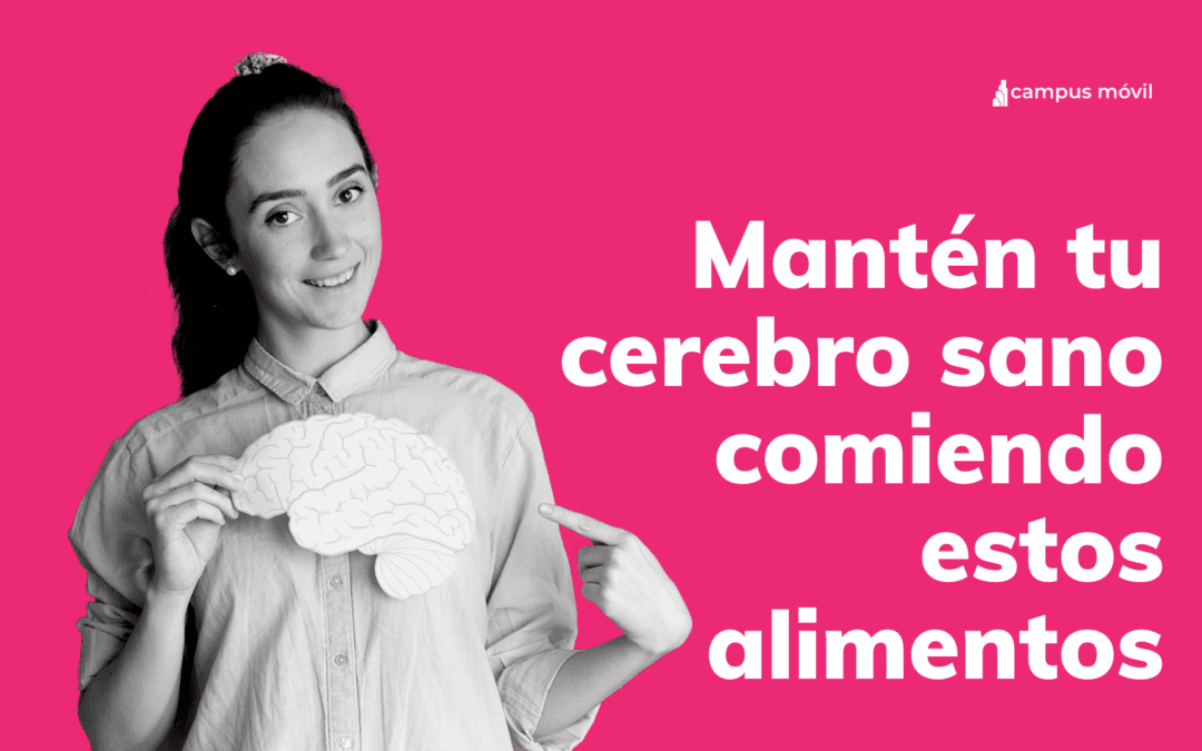 5 alimentos buenos para el cerebro