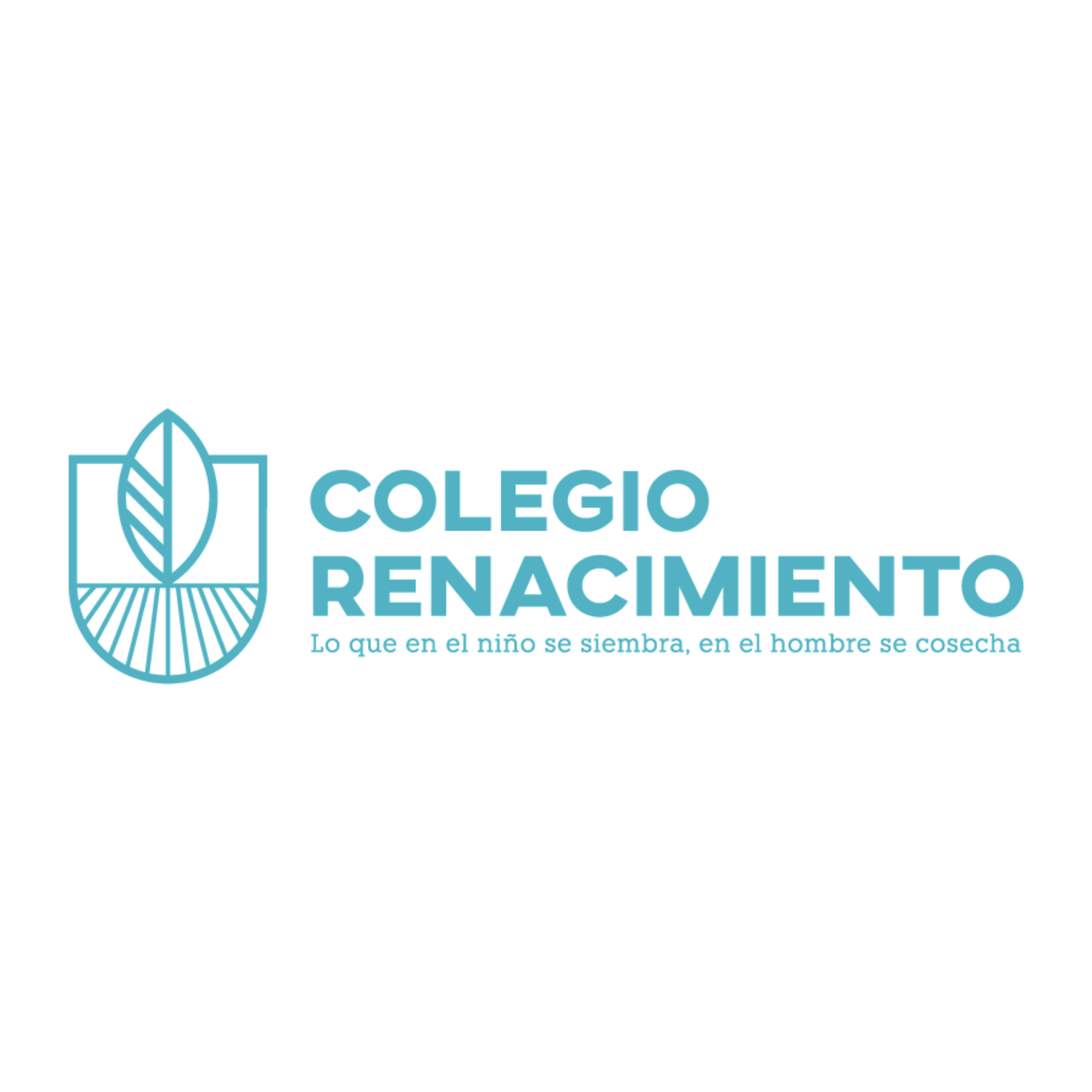 COLEGIO RENACIMIENTO DE LABASTIDA con Campus Móvil